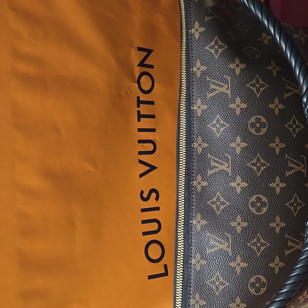 Louis Vuitton Limited Edition Triangle Softy Reverse Monogram - Picture 16 of 16
